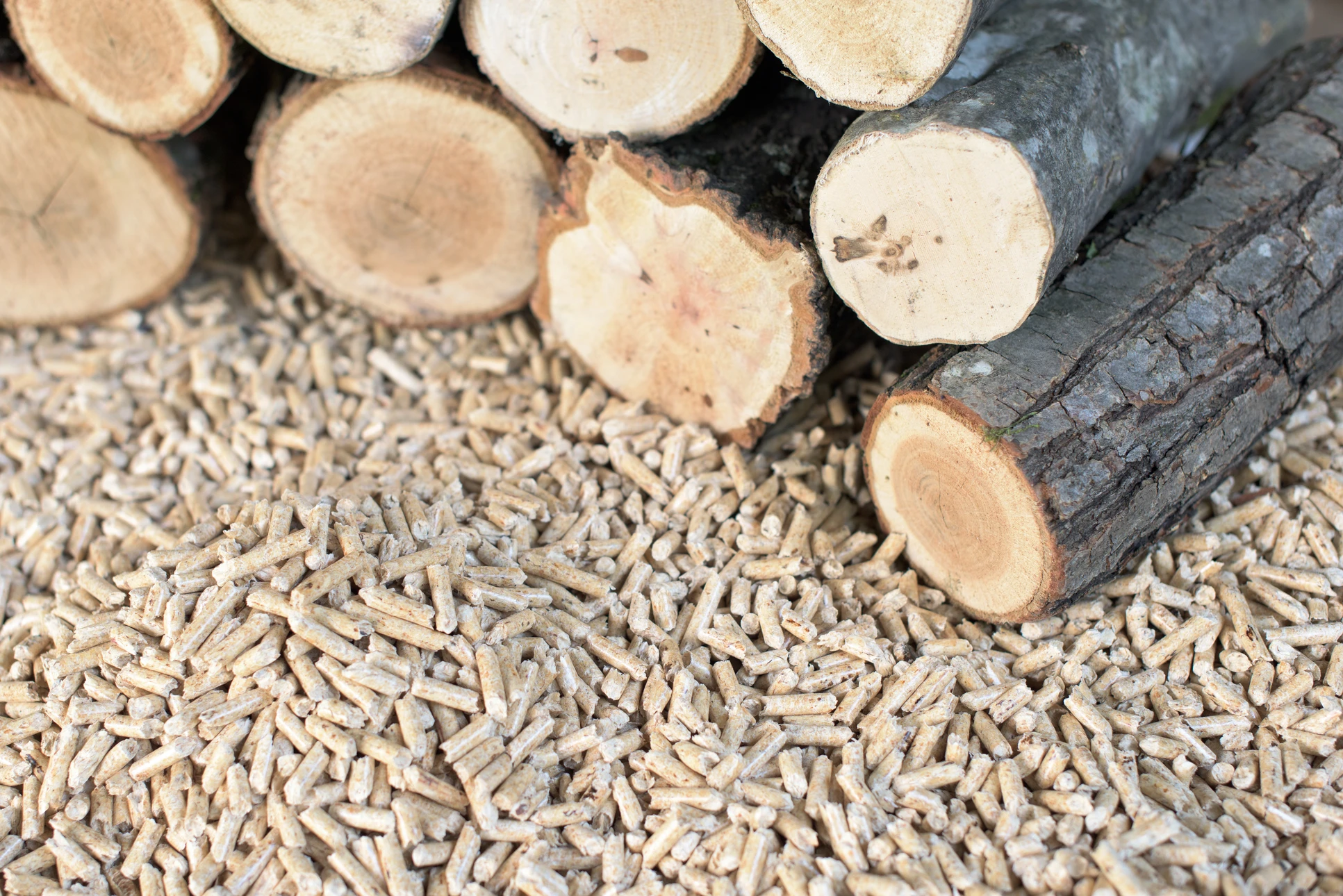 Scène extérieure montrant des cheminées en brique sur un toit résidentiel avec fumée blanche s'échappant dans un ciel bleu clair